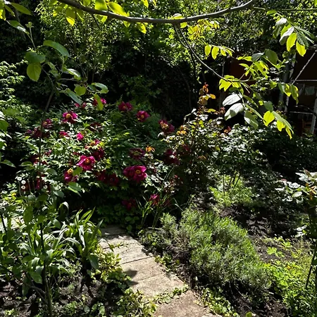 дача на фонтане Appartement