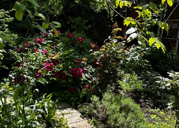 дача на фонтане Appartement